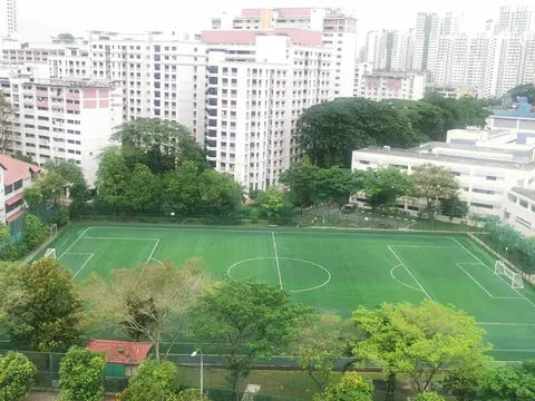 Woodlands Secondary School — Artificial Turf